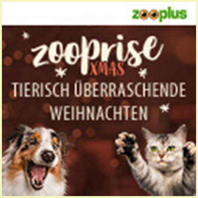 zoopl