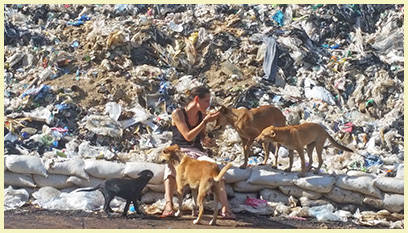 Feeding Grounds Samui