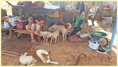 Feeding Grounds Samui