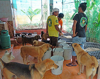 Fütterung im großen Shelter - endlich Futter