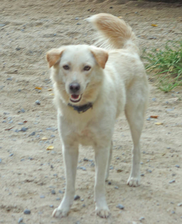 SANDY MAMA