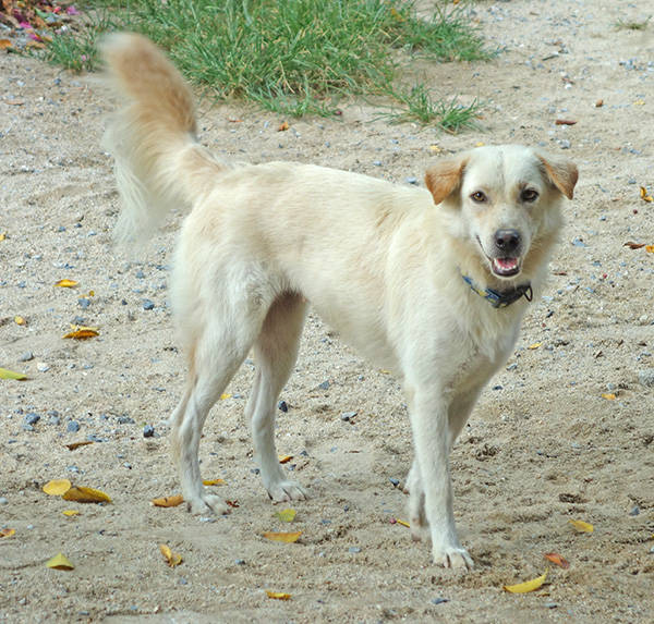 SANDY MAMA