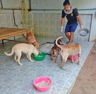 Fütterung im großen Shelter