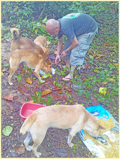 Feeding Grounds Samui