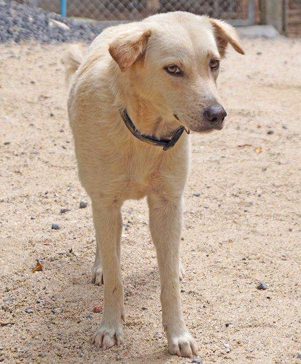 SANDY MAMA