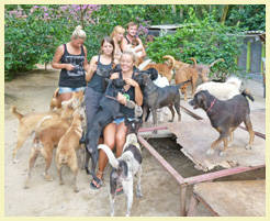 Linda, Johanna, Sarah, Daniela & Thorsten