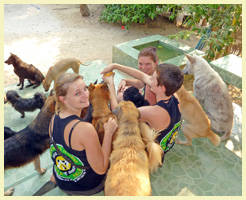 Lydia, Friederike & Franzi