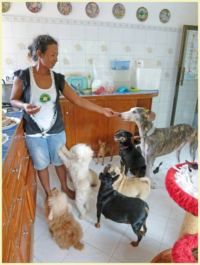 Dogs in the kitchen