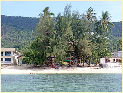 Dogs on Bang Por Beach