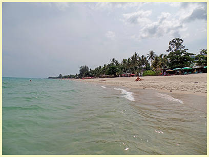 Hunde auf Lamai Strand