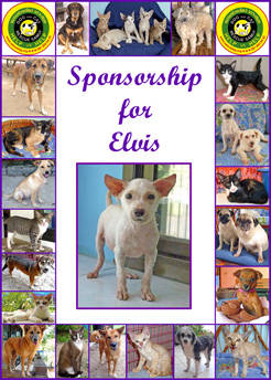 Sponsorship for Elvis