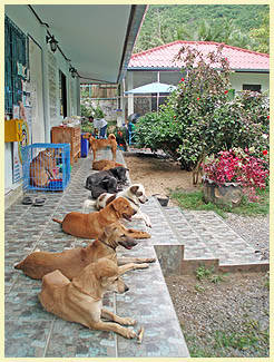 The shelter in Ban Taling Ngam