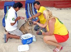 Vaccination Program